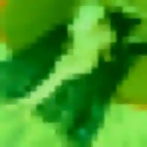 rencontre adulte à Turckheim : profil de Faustine, 27 ans - sans engagement