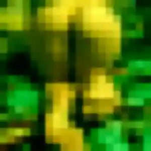 Photo privée de Adaora, 22 ans à Urt - rencontre sans lendemain