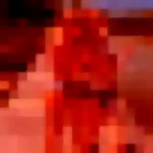 Rencontre Chancelle, 27 ans à Urt en t'inscrivant