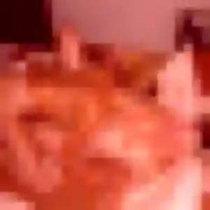 rencontre adulte à Urzy : photo de Sixtine, 37 ans - sans engagement