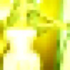 Contacte Gnima, 24 ans à Uzos gratuitement