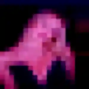 Photo exclusive de Blessing, 25 ans à Vaas - rencontre coquine