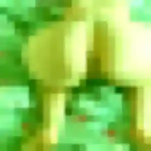 Blessing (32 ans) à Vacqueyras propose un rencontre adulte rapidement