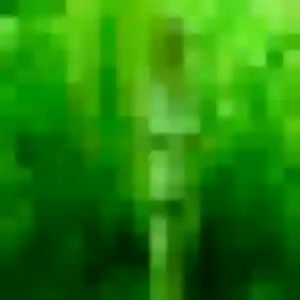 Djamilatou, 27 ans, en ligne à Vacqueyras pour un rencontre adulte