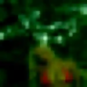 Rencontre Blessing, 32 ans à Vagney en t'inscrivant