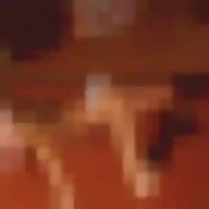 Capucine, 29 ans, en ligne à Val-de-Bonnieure pour une rencontre coquine