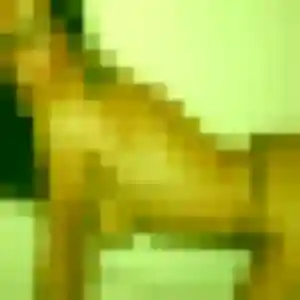 Photo sexy de Njeri, 37 ans à Val de Drôme - rencontre sans lendemain