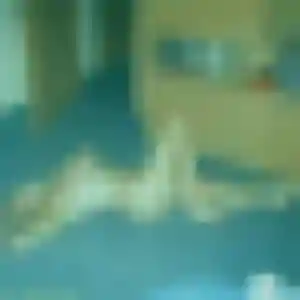 Rokia (34 ans) à Val des Vignes propose un rencontre adulte maintenant