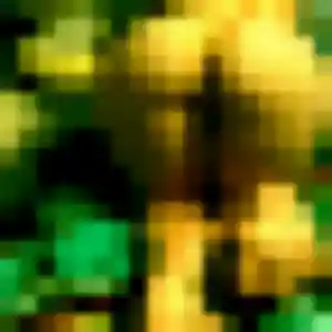 Rencontre Nadia, 21 ans à Valady en privé