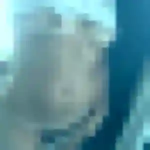 Mireille (39 ans) à Valensole cherche un rencontre adulte aujourd'hui