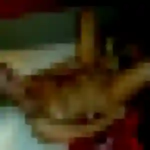 Photo exclusive de Zineb, 38 ans à Vallière - rencontre coquine
