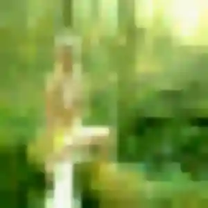 Photo perso de Nicole, 22 ans à Valromey-sur-Séran - rencontre sans lendemain