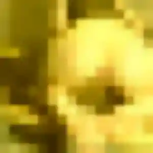 Jolie Adwoa, 27 ans à Vaumoise - découvrir son profil