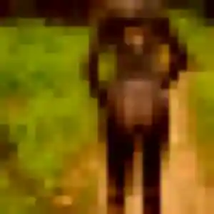 Aïcha, 45 ans, connectée à Vauréal pour un rencontre adulte