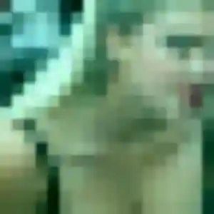 Grâce (19 ans) à Veigné propose un rencontre adulte rapidement