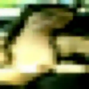 Gnilane, 40 ans, veut un rencontre adulte à Velaines