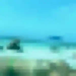 Profil de Safi à Vendenheim (43 ans) - rencontre adulte sans inscription