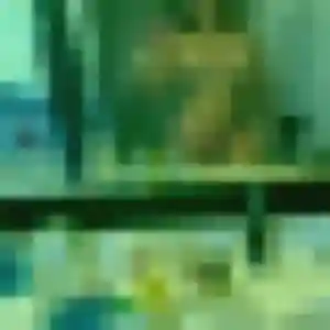 Ngozi, 21 ans, dispo pour rencontre adulte à Vendœuvres