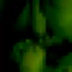 Belle Naïma, 25 ans à Vénès - découvrir son profil