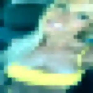 Charmante Diary, 30 ans à Verderel-lès-Sauqueuse - la contacter