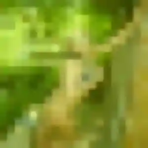 Hélène, 29 ans, en ligne à Verfeil pour un rencontre adulte