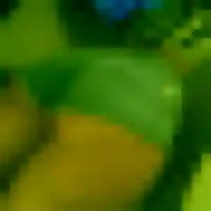 Omotola, 25 ans, connectée à Vergeroux pour un rencontre adulte