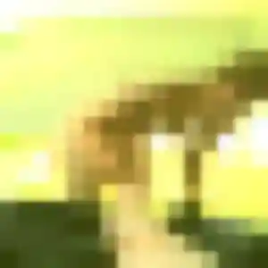 Profil de Daba à Vernègues (37 ans) - rencontre adulte discret