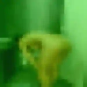 Aïcha, 25 ans, dispo pour rencontre adulte à Verquières