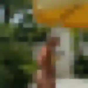 Photo de Zélie à Vert-le-Petit (31 ans) - rencontre adulte sans inscription