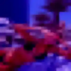 Photo de Séraphine à Vertou (36 ans) - rencontre adulte gratuit