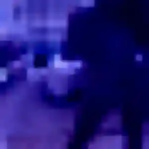 Séraphine, femme de 31 ans veut rencontre adulte à Vézelois
