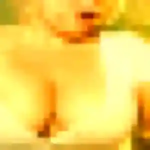 Suzanne, femme de 34 ans veut rencontre adulte à Villefranque