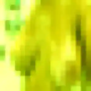 Leïla (31 ans) à Vimartin-sur-Orthe propose un rencontre adulte rapidement