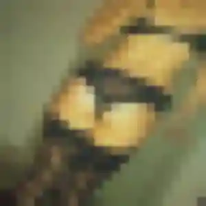 Marina, fille de 38 ans veut rencontre adulte à Vimont