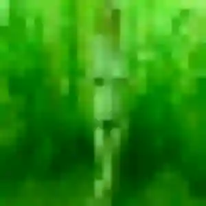 Photo privée de Adjoavi, 27 ans à Vimory - plan discret