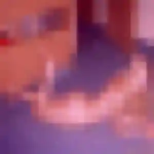 Ablavi, 31 ans, veut un rencontre adulte à Vimoutiers