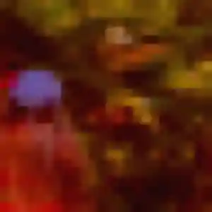 rencontre adulte à Vindelle : photo de Ruth, 39 ans - inscription gratuite