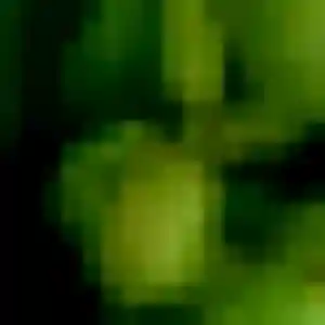 Charmante Dienaba, 39 ans à Vinon-sur-Verdon - voir sa photo