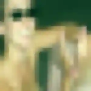 Photo perso de Élise, 25 ans à Viriville - plan discret