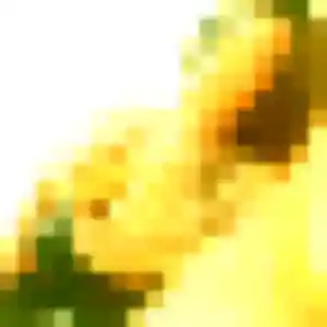 Selbé de Viry, 42 ans - rencontre adulte sans lendemain