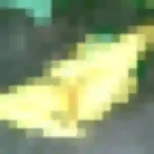 Rejoins Oluchi, 34 ans à Vitré gratuitement