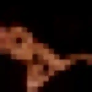 Maëva, 27 ans, veut un rencontre adulte à Vitrolles