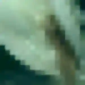 rencontre adulte à Vittel : photo de Dienaba, 31 ans - sans engagement