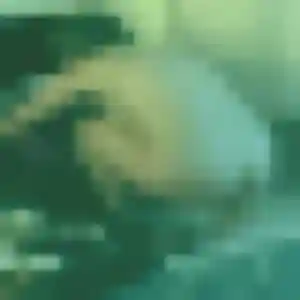 Stéphanie, 31 ans, dispo pour rencontre adulte à Vix