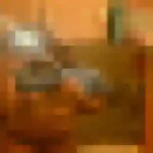 Aurore, femme de 32 ans cherche rencontre adulte à Vouvant