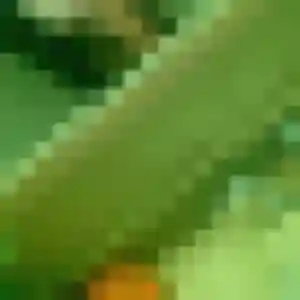 Louna de Vouvant, 34 ans - rencontre adulte sans lendemain