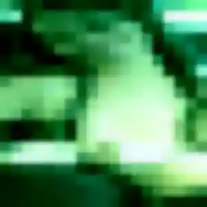 Divine (35 ans) à Vouvray propose une rencontre rapidement