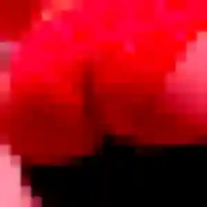 Régine (38 ans) à Vouzon cherche une rencontre aujourd'hui