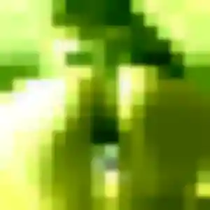 Contacte Adwoa, 22 ans à Vrigny en t'inscrivant