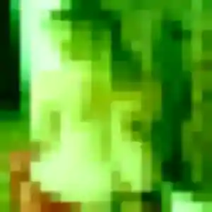 rencontre adulte à Vron : profil de Tanoh, 26 ans - inscription gratuite